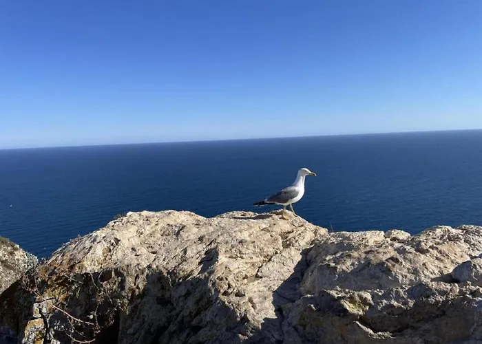 Tranquil Villa Stay, Murla * Murla