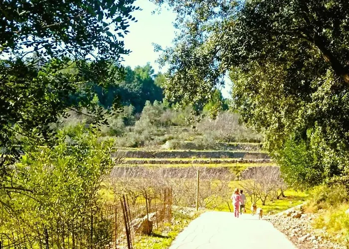 Villa Tranquil Villa Stay, Murla Murla