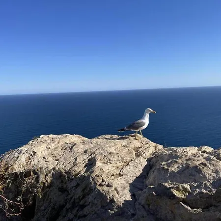 Tranquil Stay, * Murla