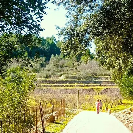 וילה Tranquil Stay, Murla