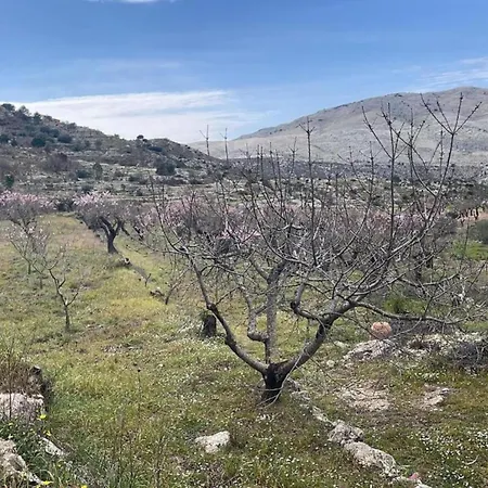 Tranquil Stay, וילה Murla